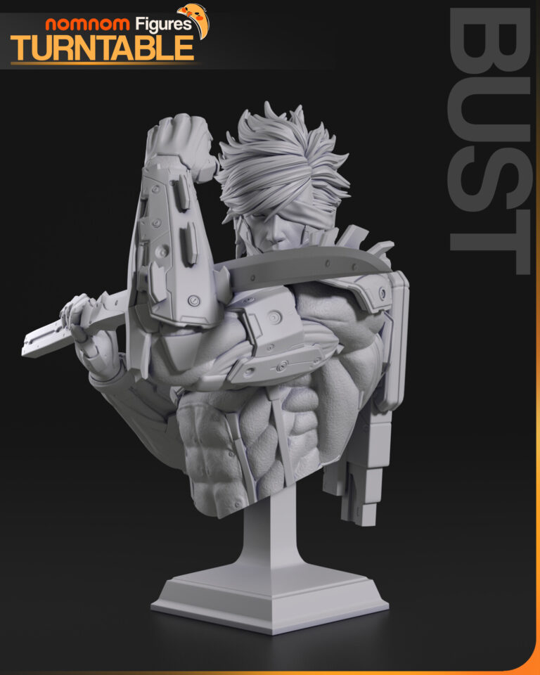 Raiden + Bust - Metal Gear - STL Files