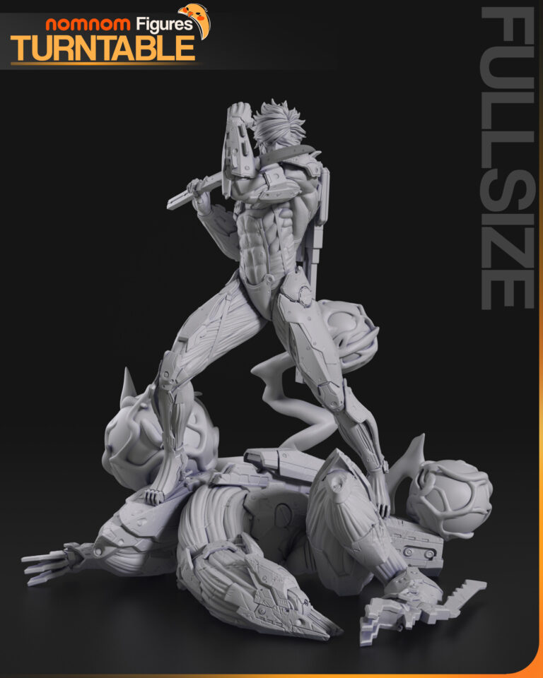 Raiden + Bust - Metal Gear - STL Files