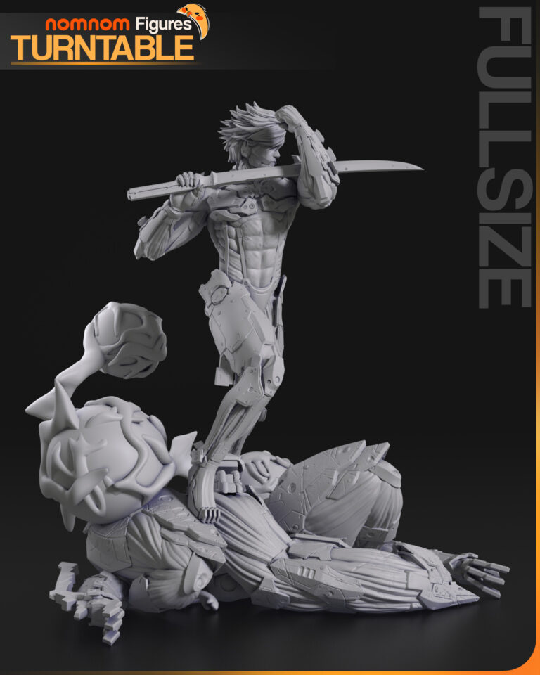 Raiden + Bust - Metal Gear - STL Files
