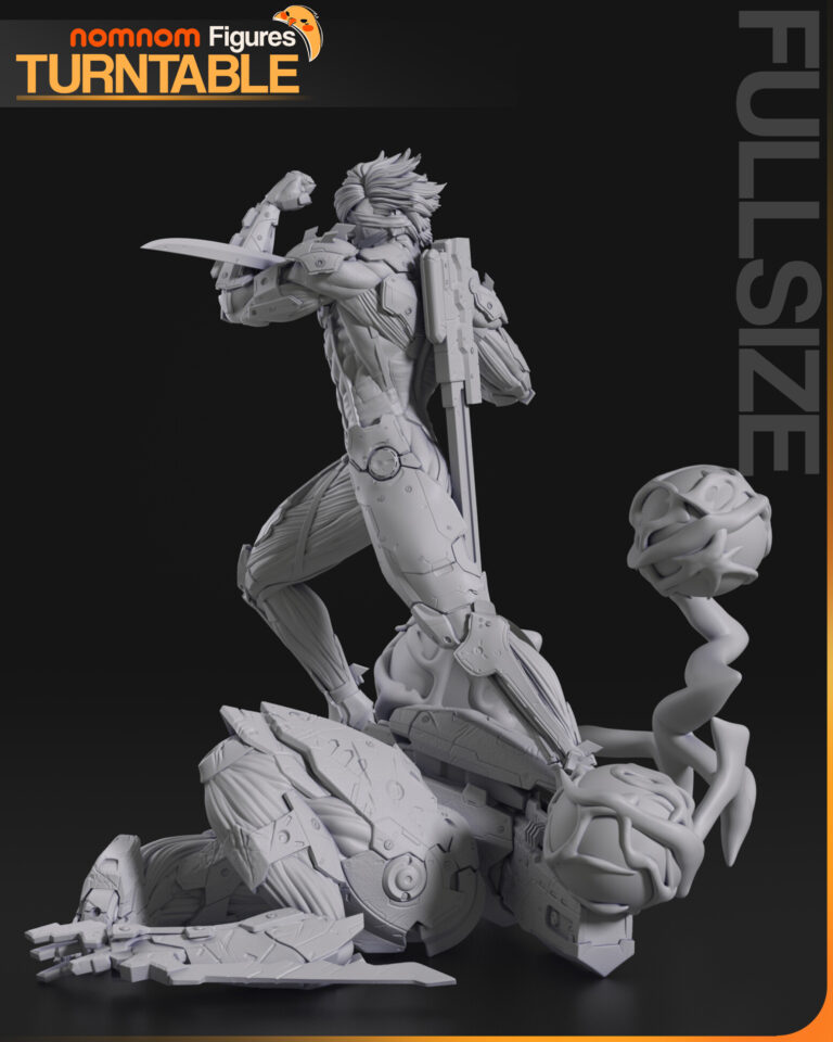 Raiden + Bust - Metal Gear - STL Files