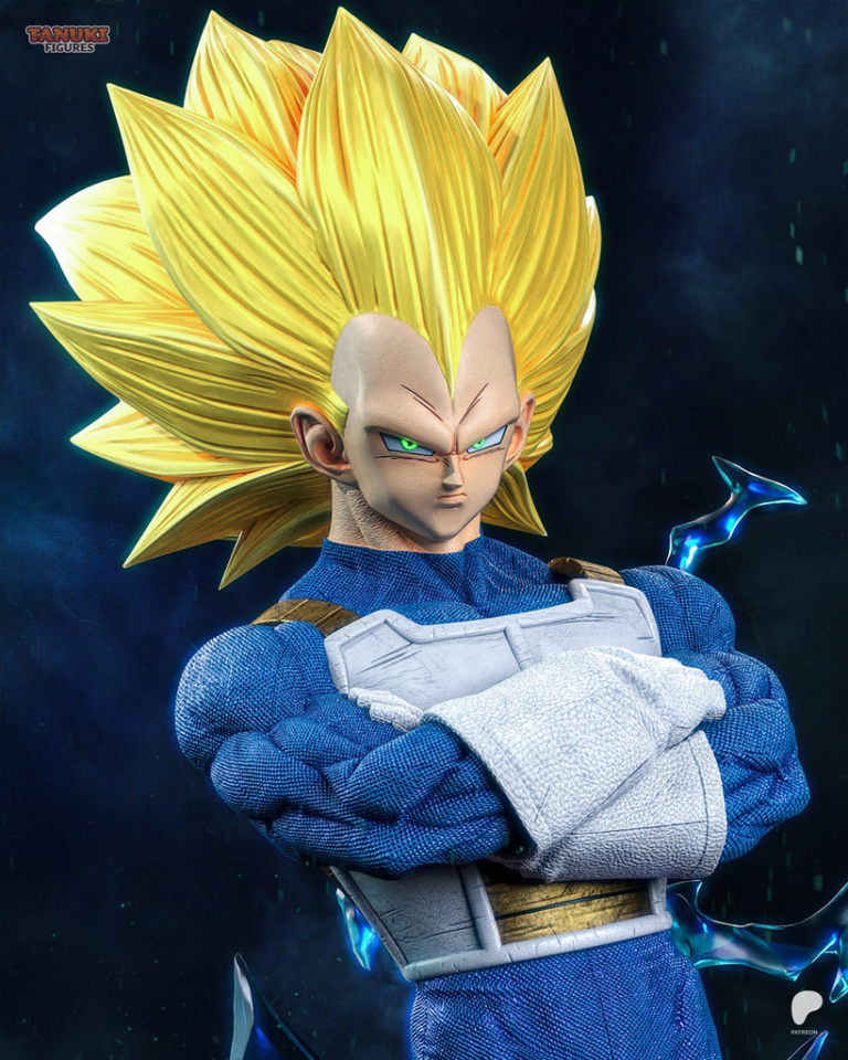 Vegeta STL SSJ3 Cover