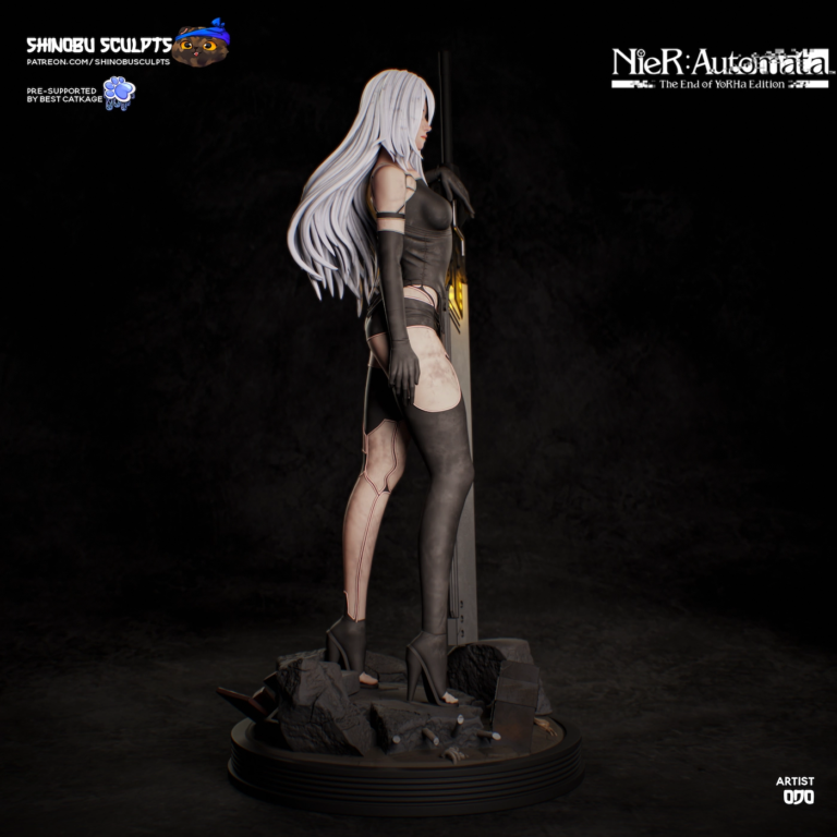 A2 STL 4 - Nier