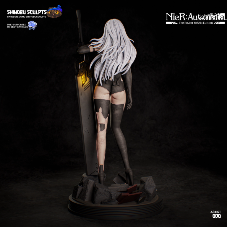 A2 STL 4 - Nier