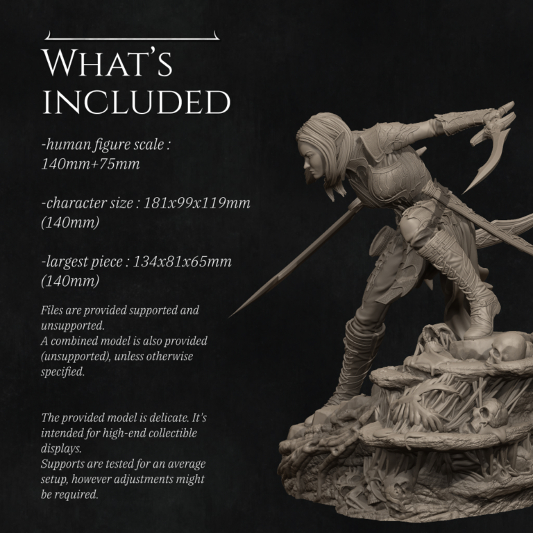 Lierin the Drow Fighter - Fantasy