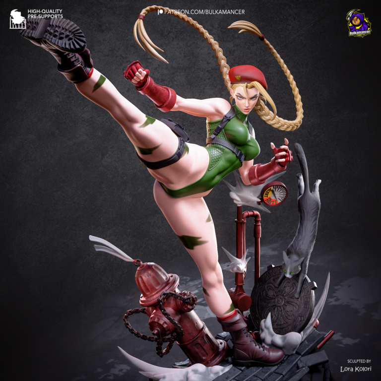 Cammy STL Cover