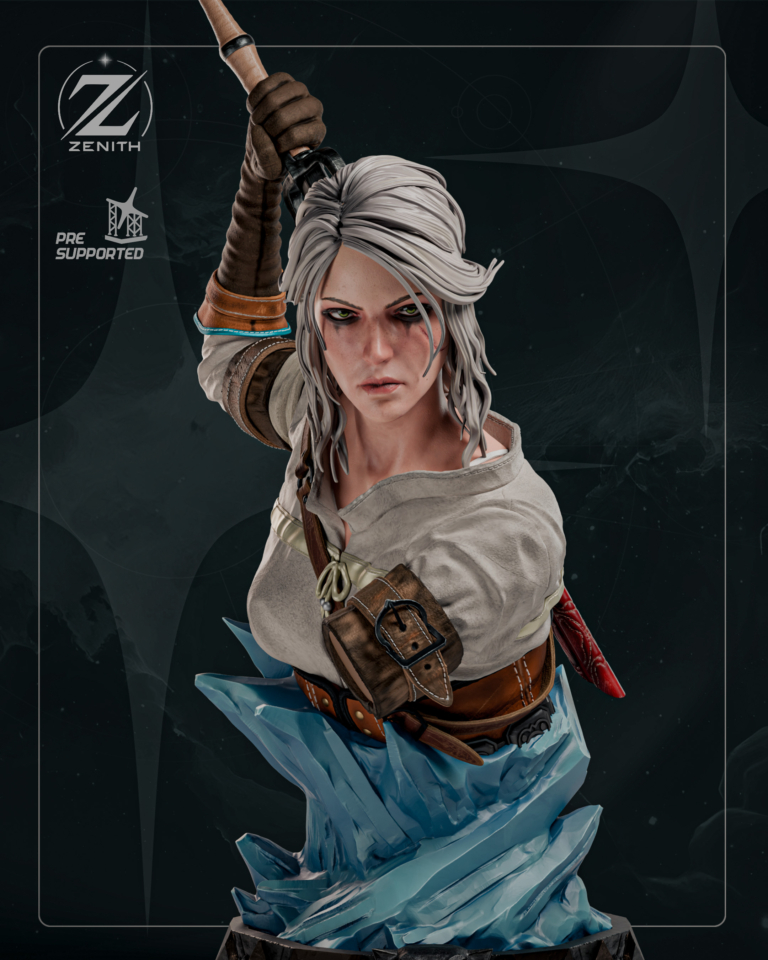 Ciri STL 5 + Bust + Extras - The Witcher